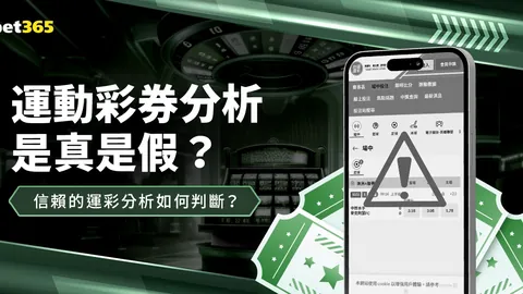 《生机勃勃小屋揭秘》：萌鼠温馨栖息地探游记